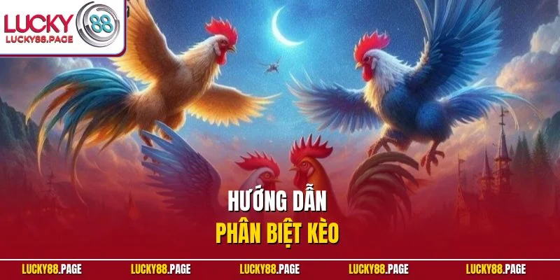 Hướng dẫn phân biệt kèo 
